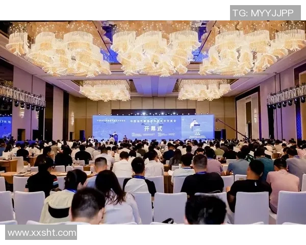 蓉港足球明星全景盘点及其成就与影响力分析