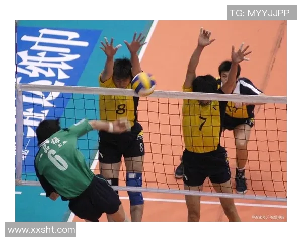 武汉排球队的拼搏之路挑战赛特别报道展现奋斗精神与团队力量